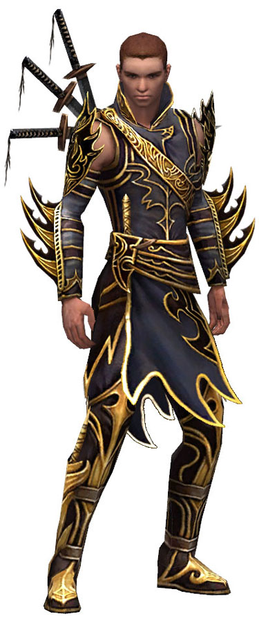 Aion Assassin Armor Sets