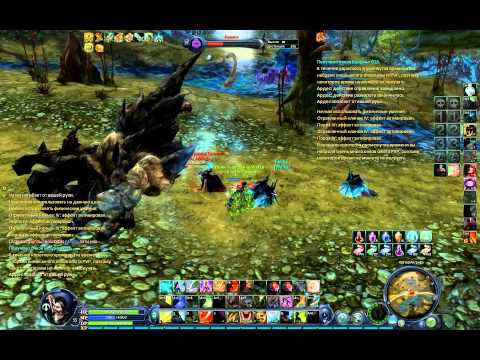 Aion Assassin Guide 2012