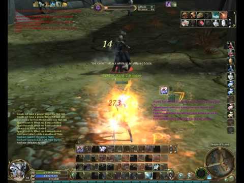 Aion Assassin Guide 2012