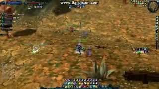 Aion Assassin Or Ranger For Pvp