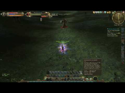 Aion Cleric Pvp Stigma Build