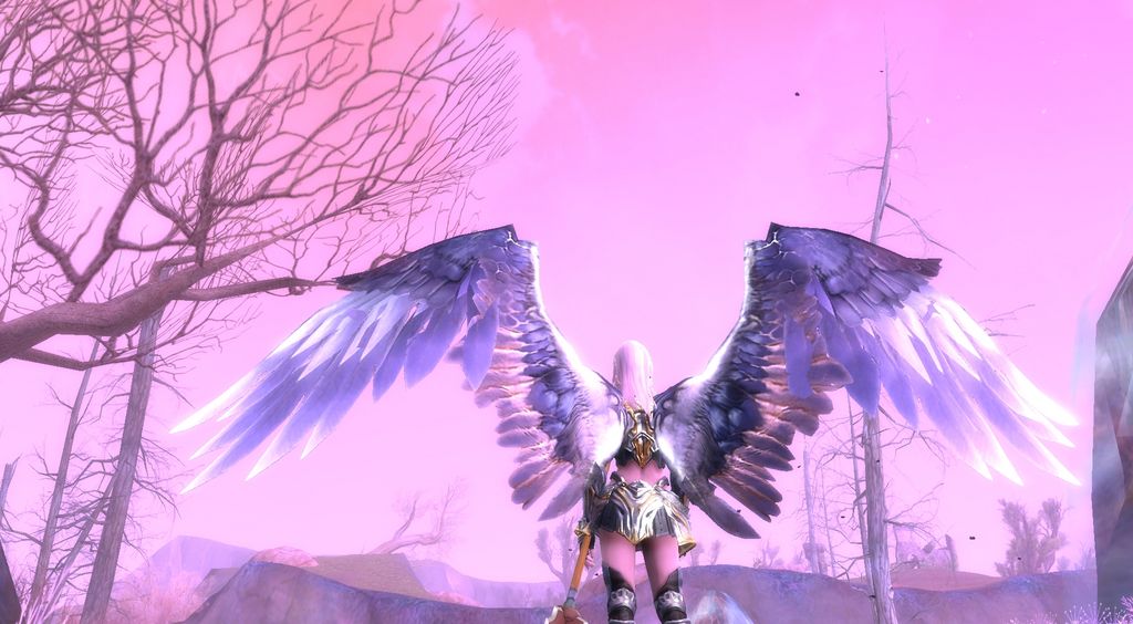 Aion Wings