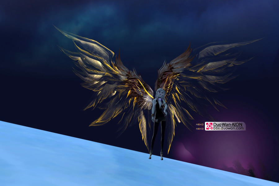 Aion Wings List