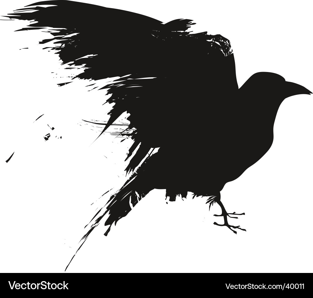 Omen Of Death Bird